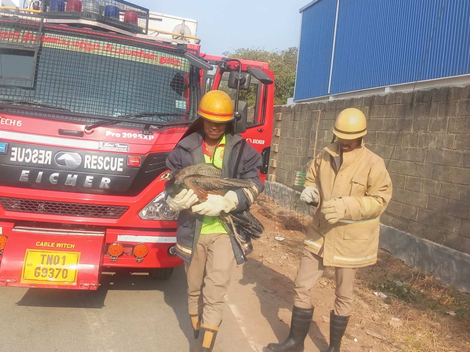 தேசியப் பறவையை மீட்க மனித நேயத்துடன் பறந்து வந்த தூத்துக்குடி தீயணைப்பு வீரர்கள் !